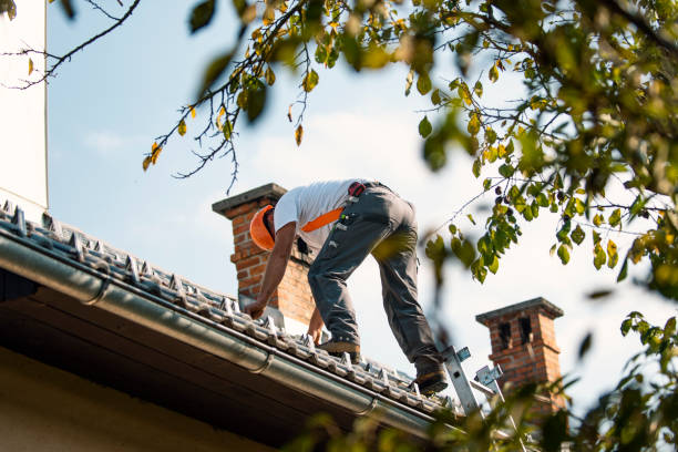 Trusted Evans City, PA Roofing Contractor Experts