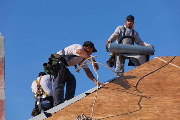 Best Roof Maintenance Services  in Evans City, PA